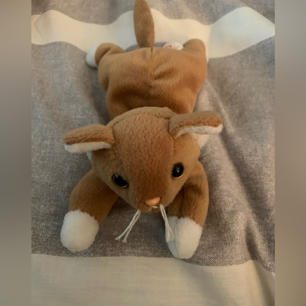 Cat beanie baby!